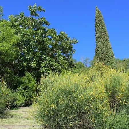 Villa Porsenna-2